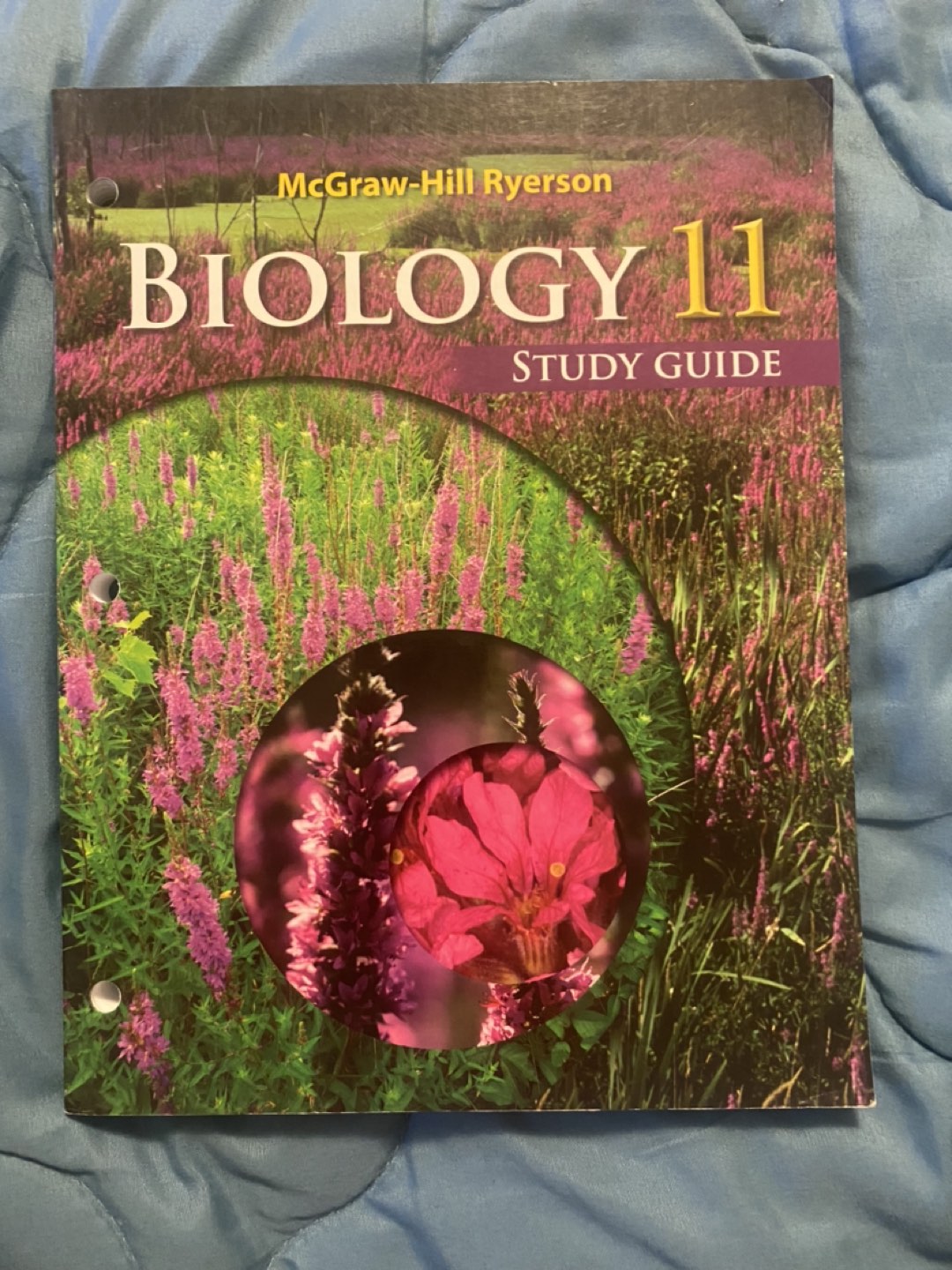 McGraw-Hill - Biology 11 Study Guide thumbnail