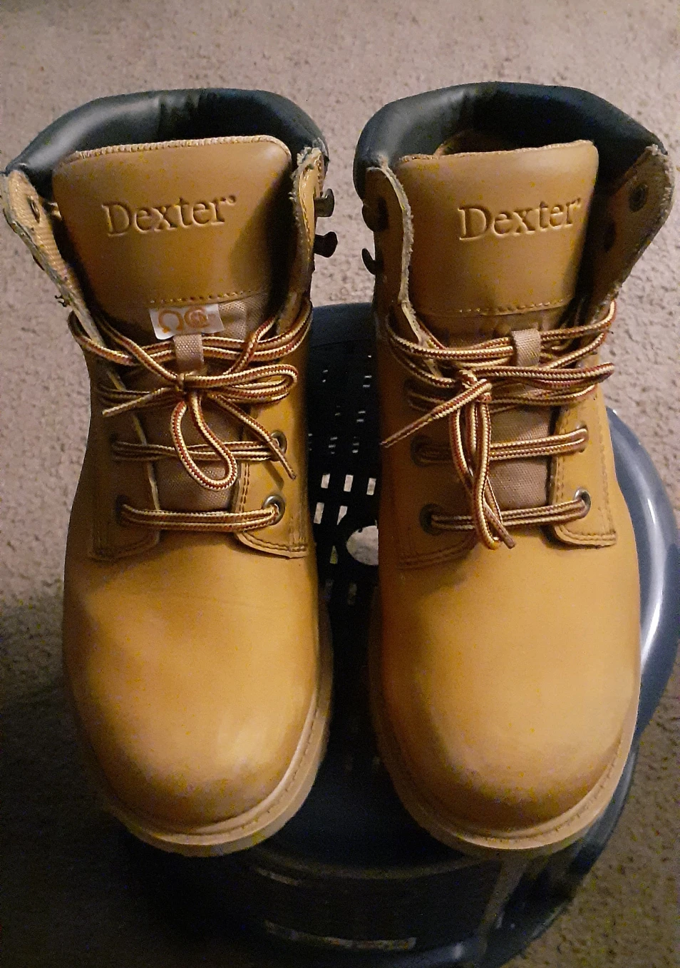 Dexter Men's Safety Shoes - photo 2