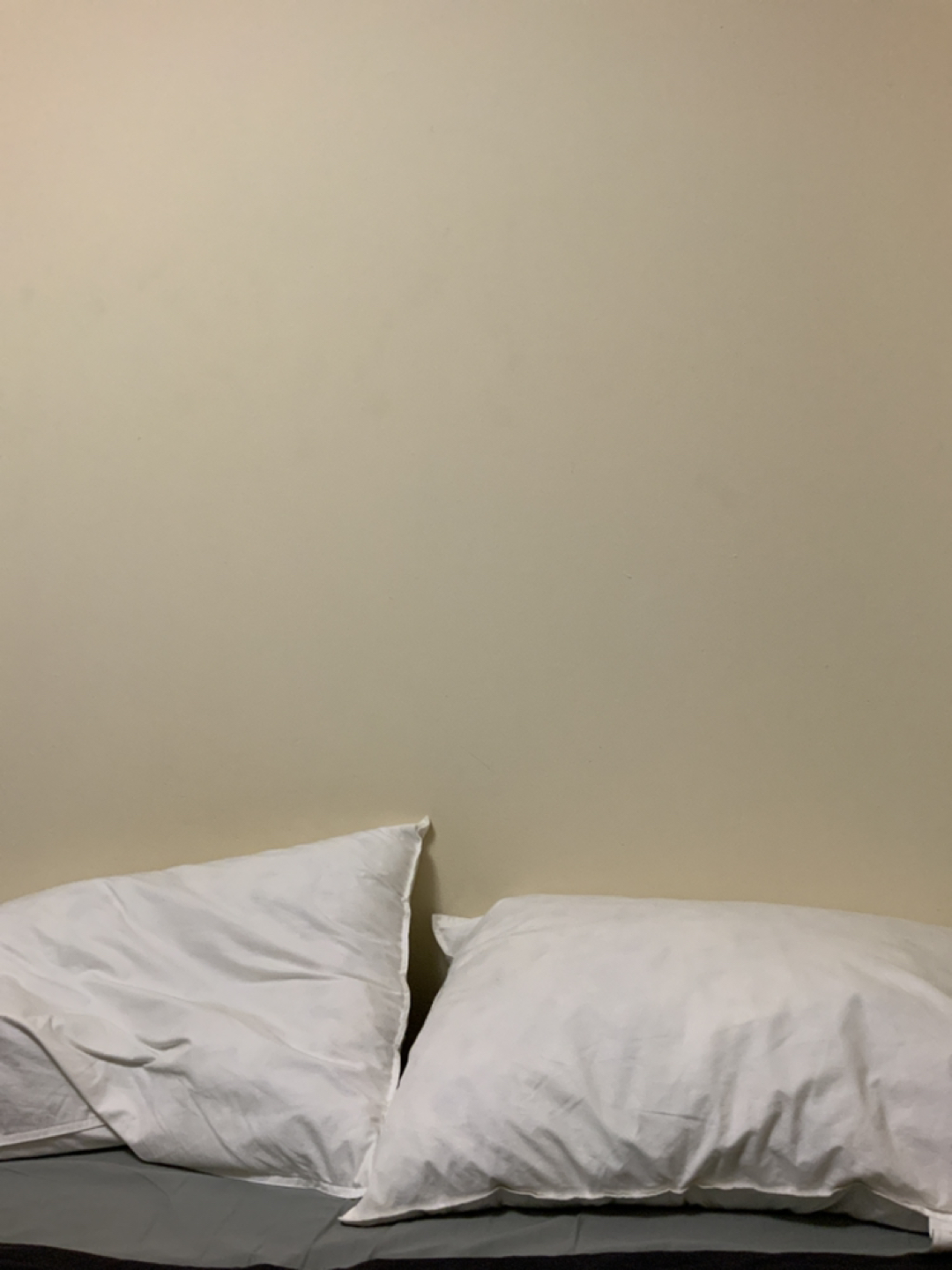 FREE MUJI FEATHERS PILLOW (2 pcs) thumbnail