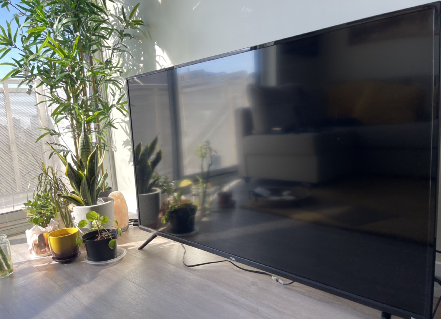 TCL Roku TV- 55”