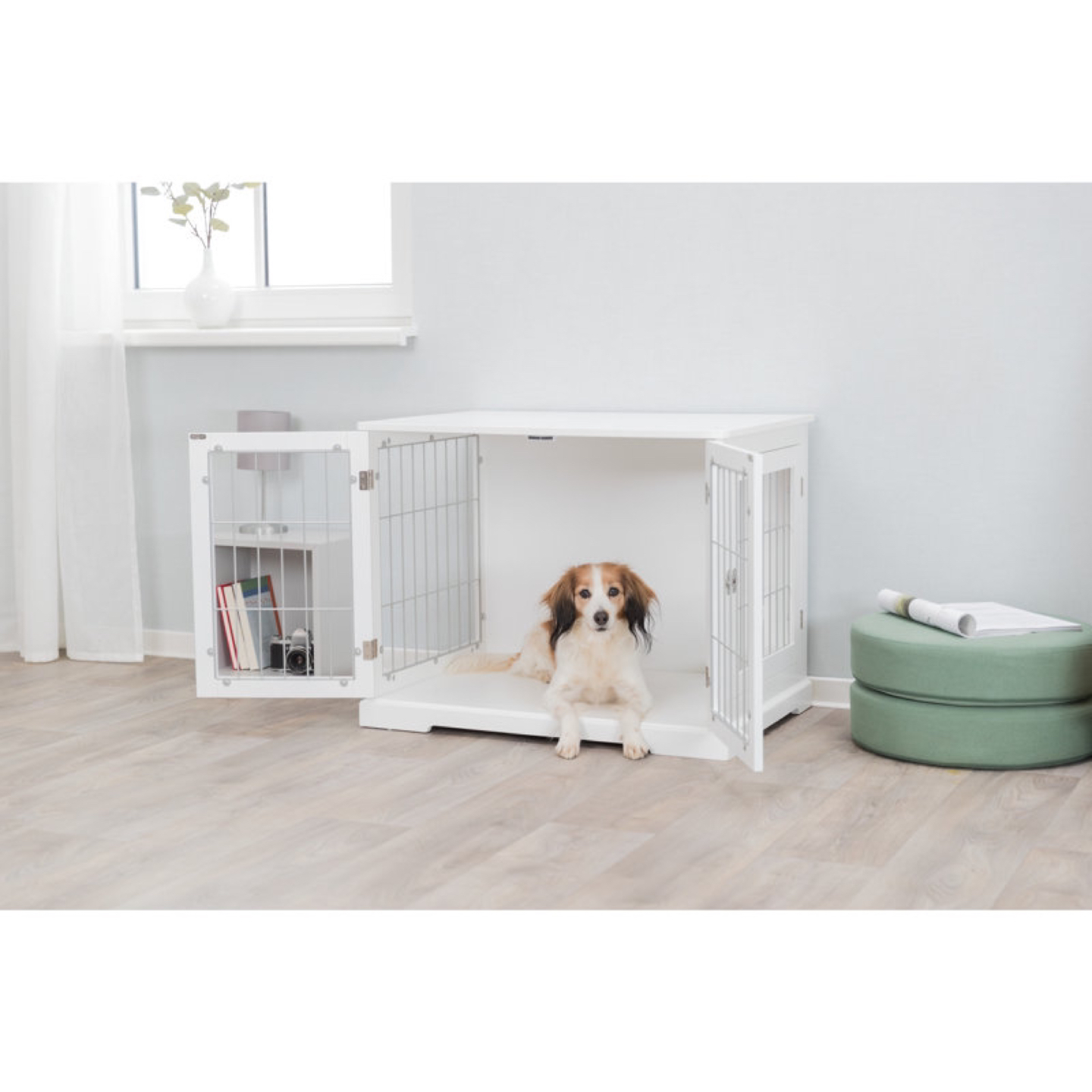 🐾 Dog Crate! 🐾