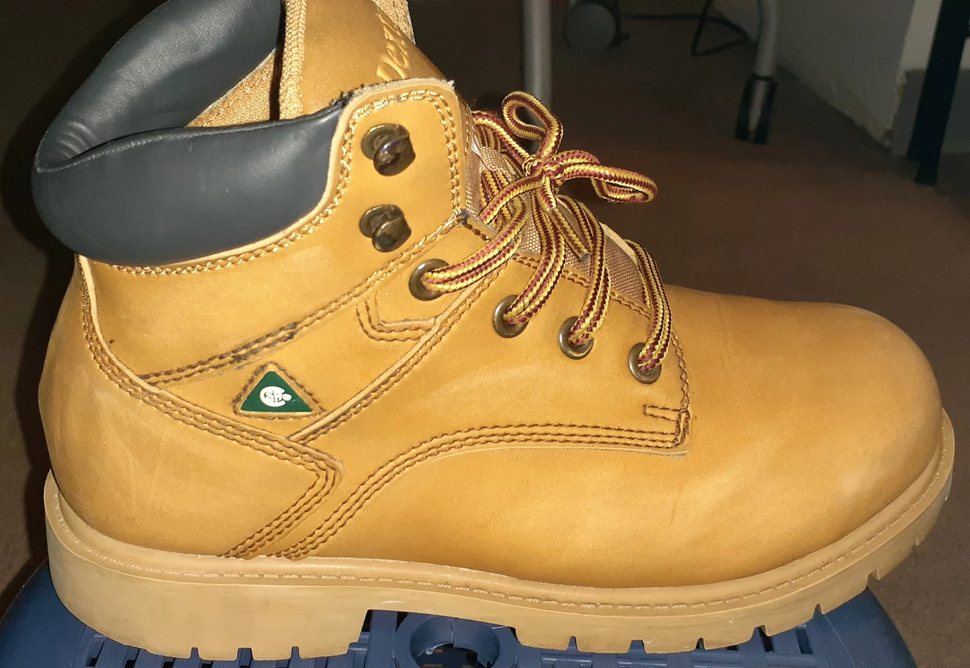 Dexter Men's Safety Shoes