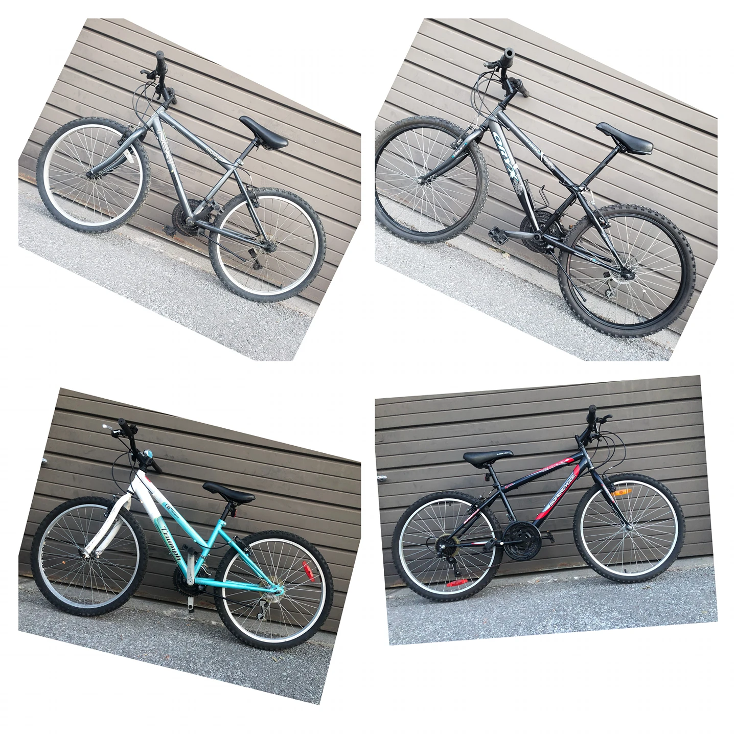 bike / bikes / bicycle