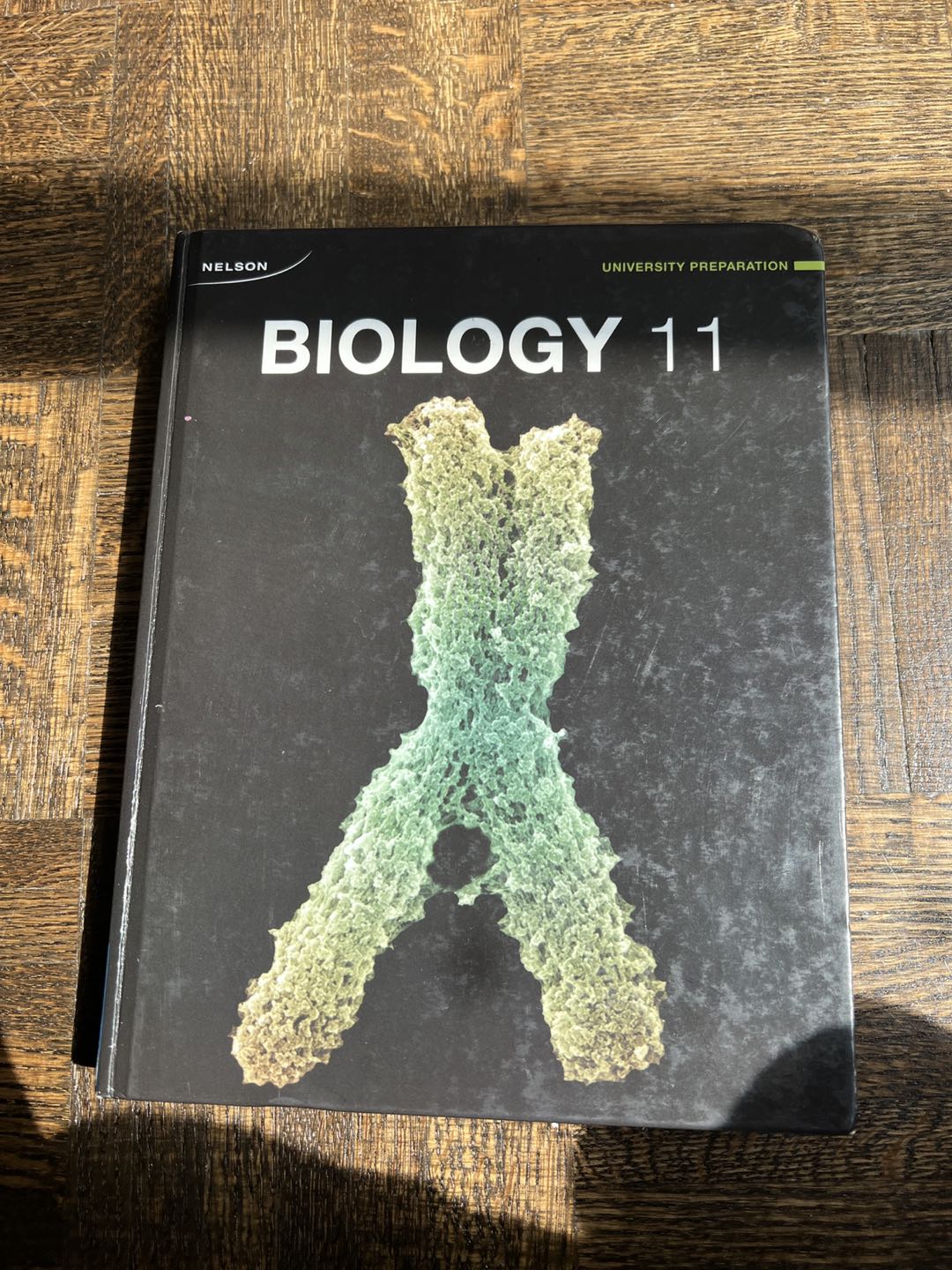 Biology 11 (Nelson)