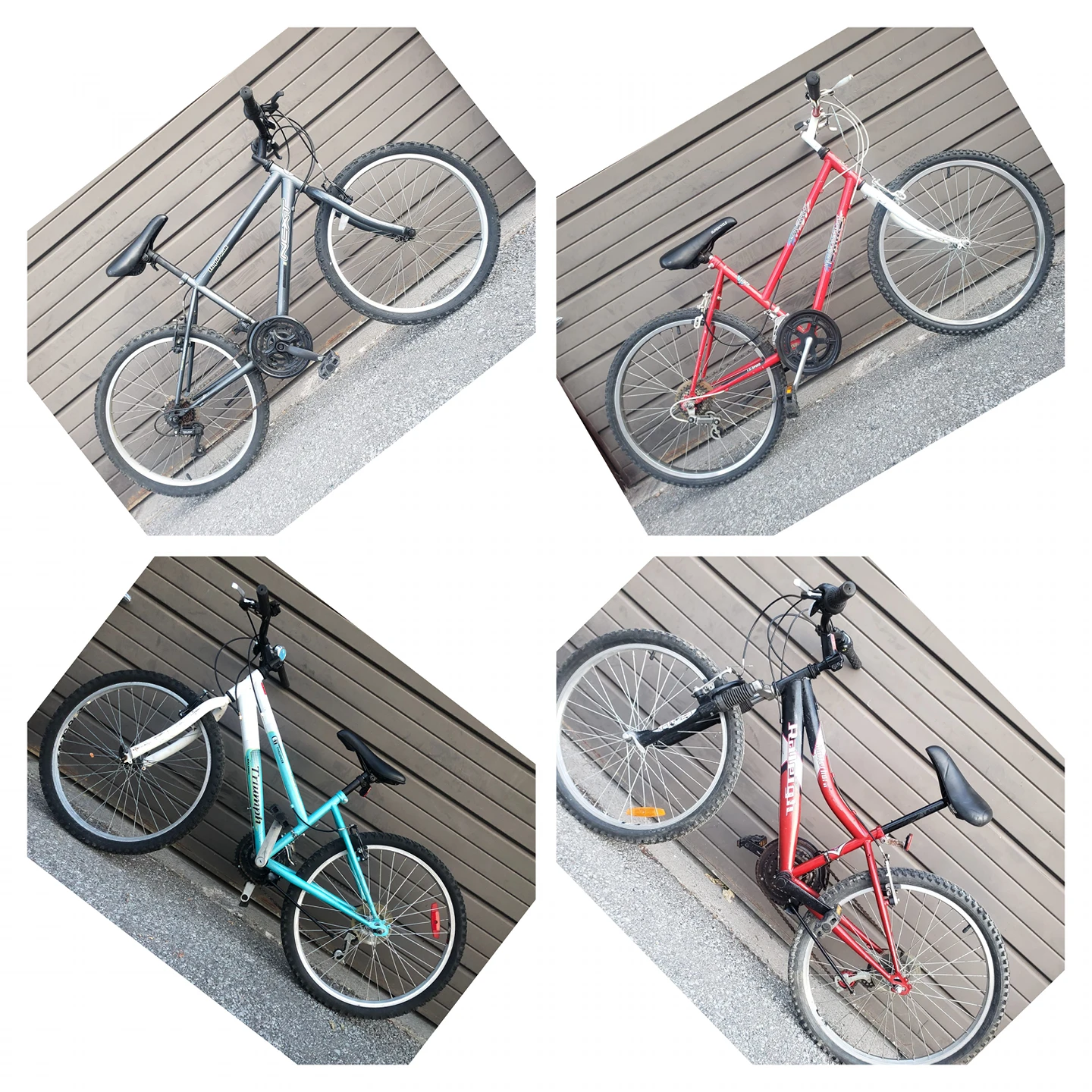 bike / bikes / bicycle