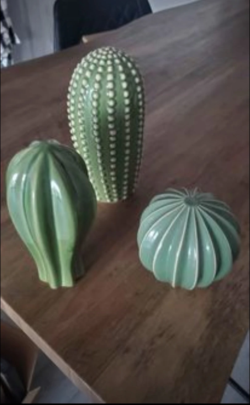 Ikea Decorative Cacti