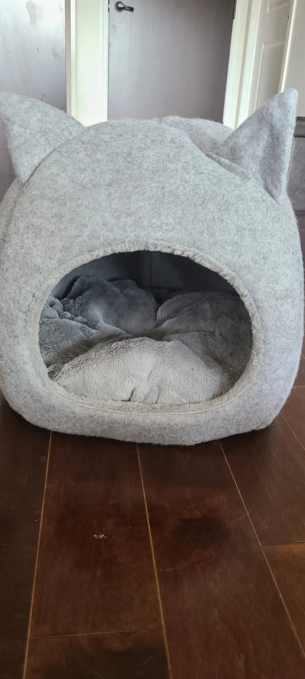 fluffy Cat Tent with a cushion inside