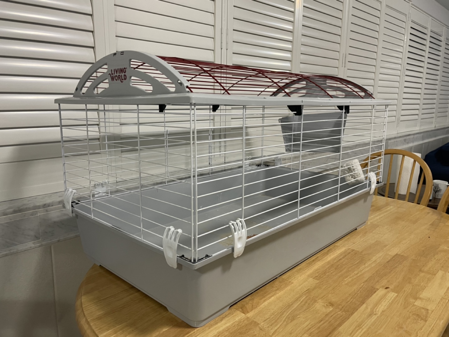 Cage For Guinea Pig thumbnail
