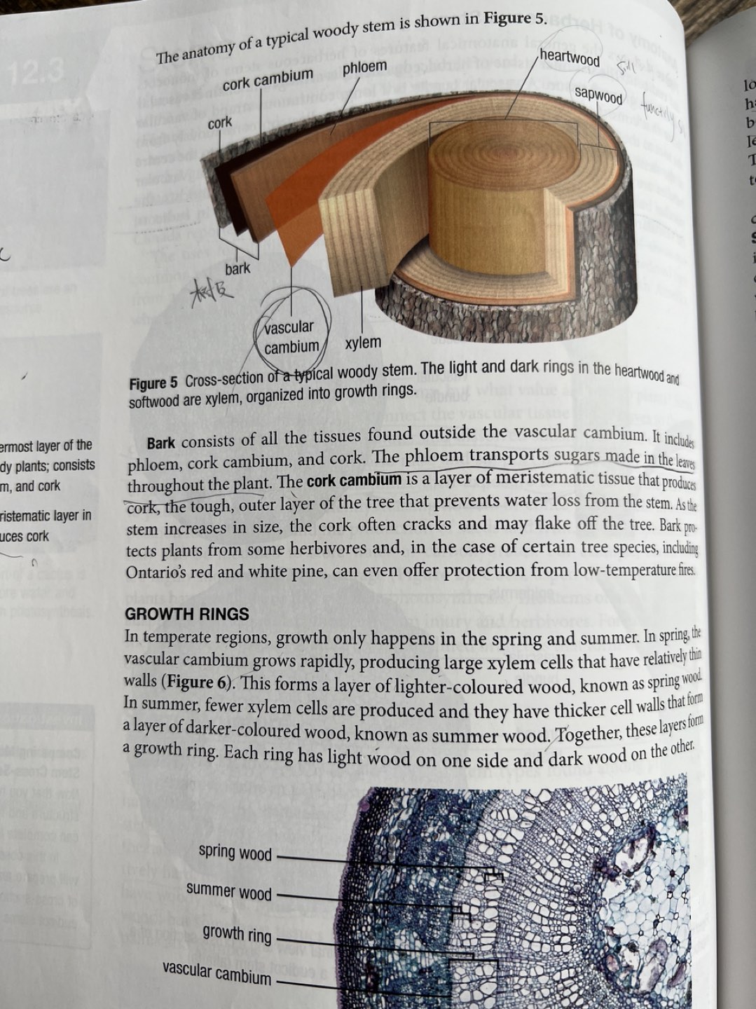 Biology 11 (Nelson) - photo 3