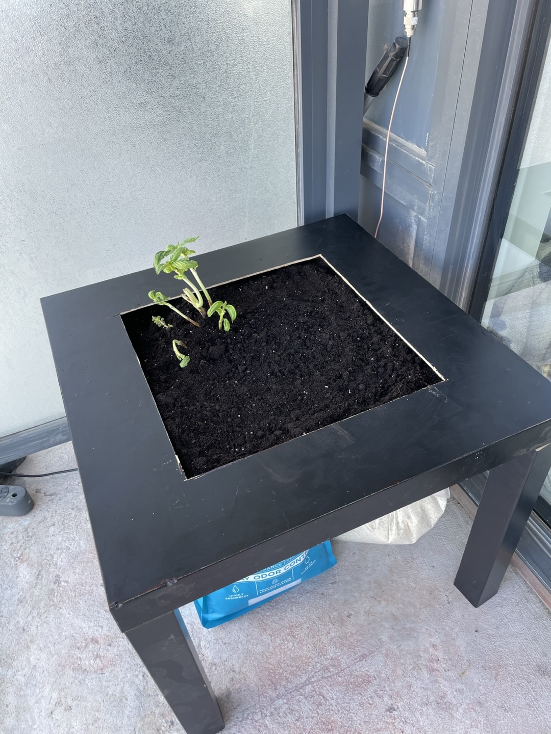 IKEA Lack Table Garden