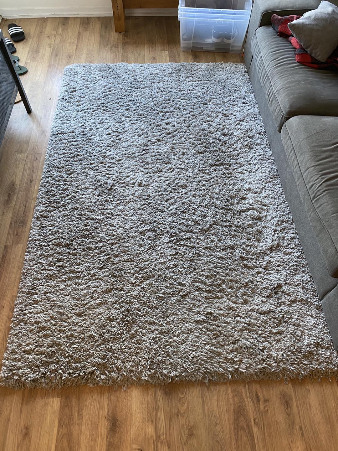 Shag carpet (90” x 60”)