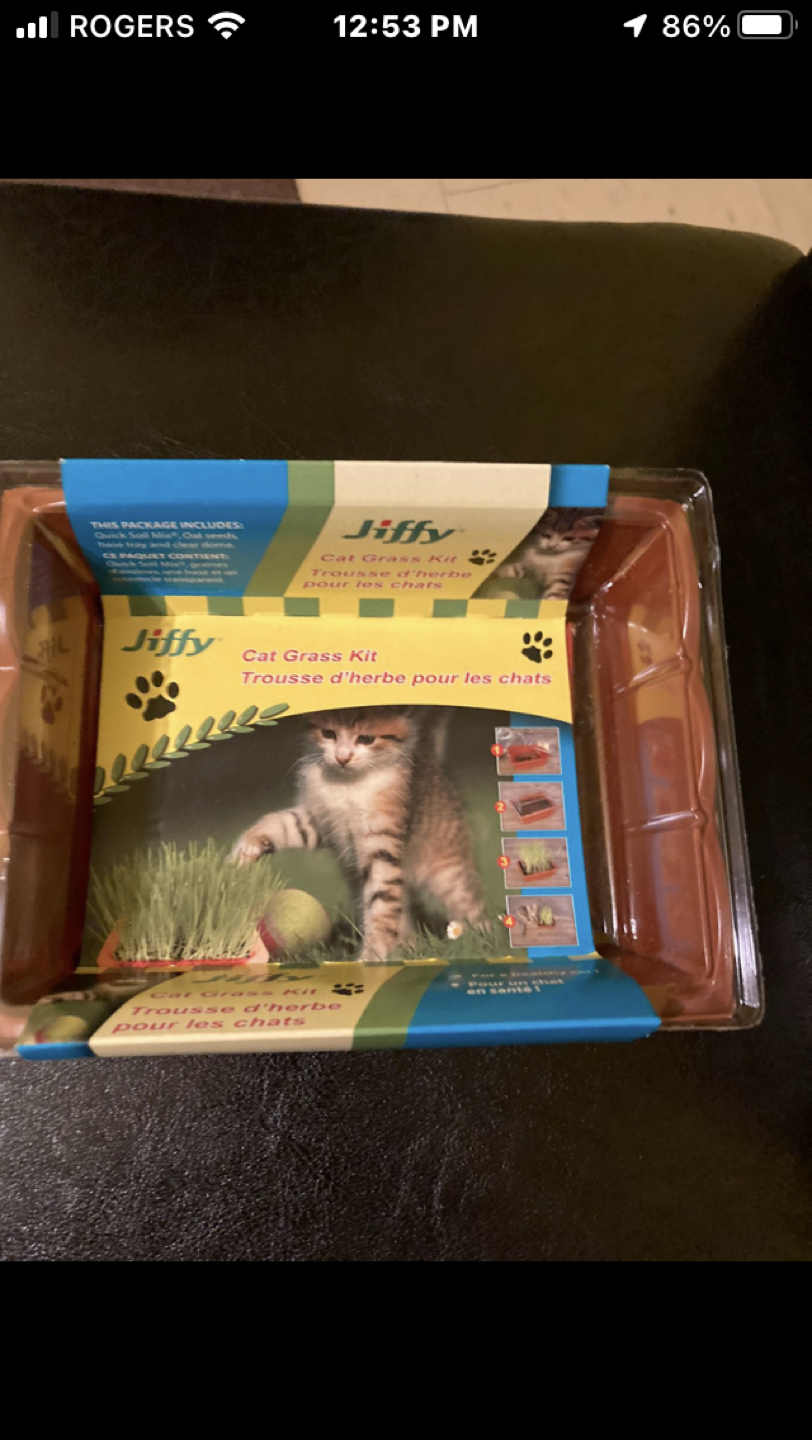 Cat grass