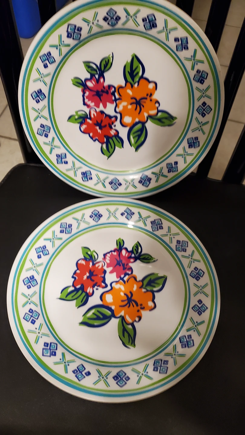 #freecycle Never used plates!