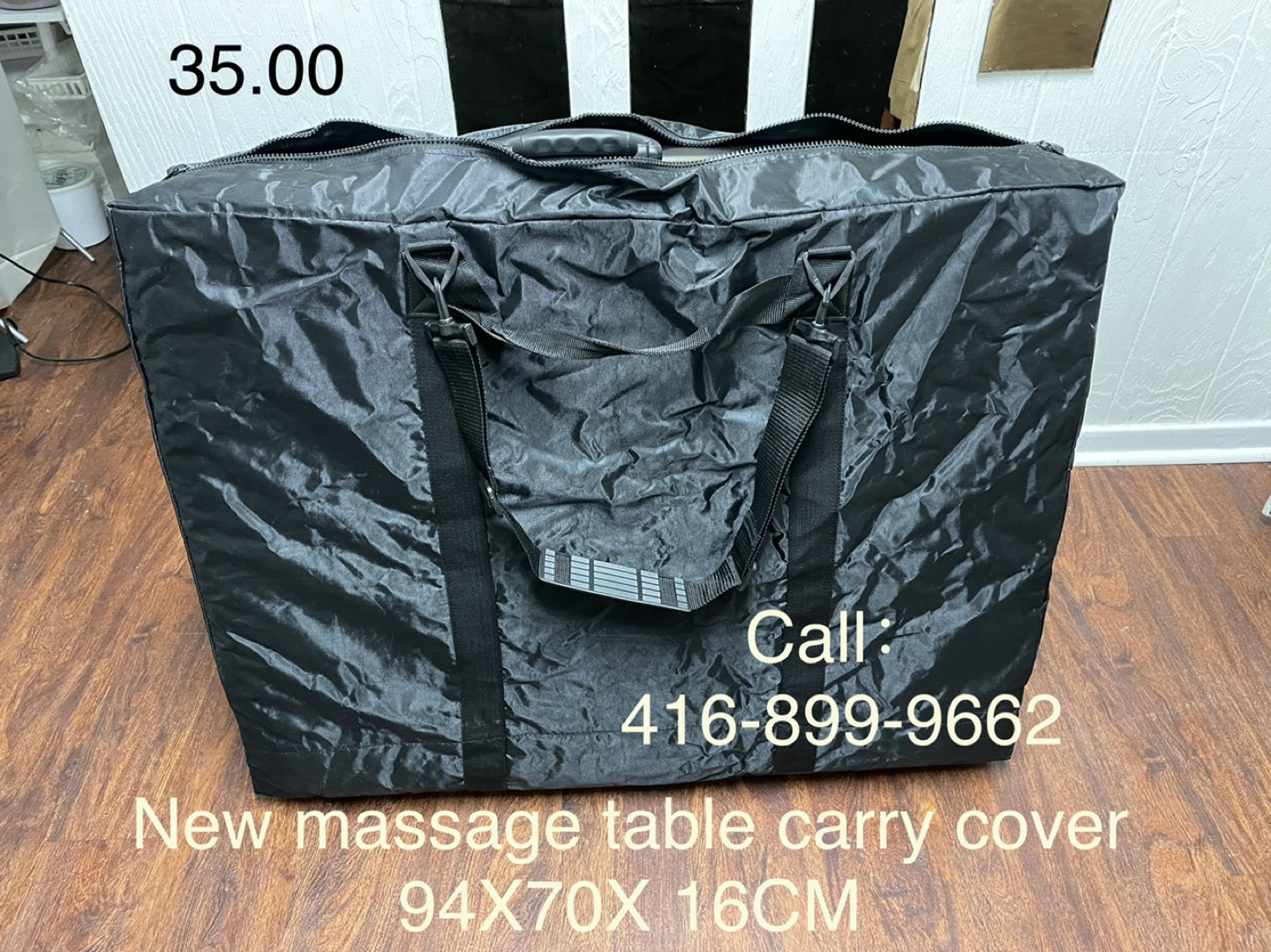 Massage table case