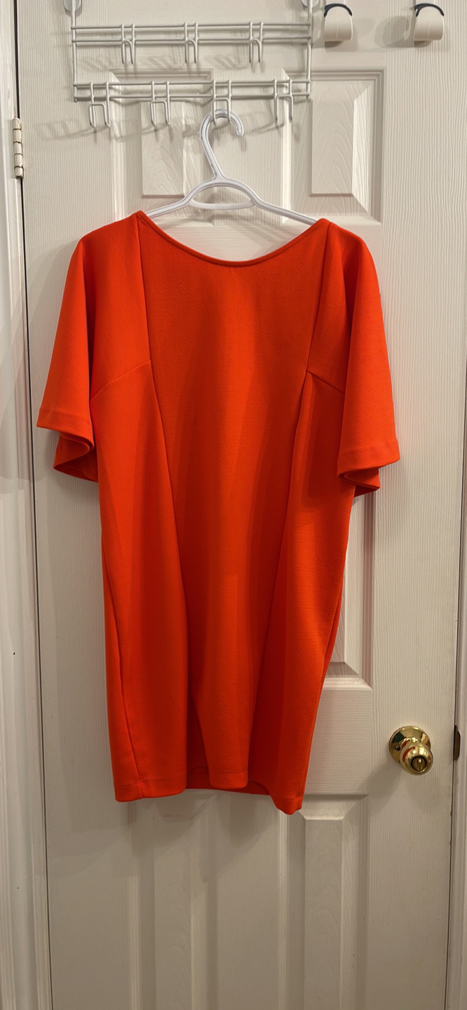 Zara dress