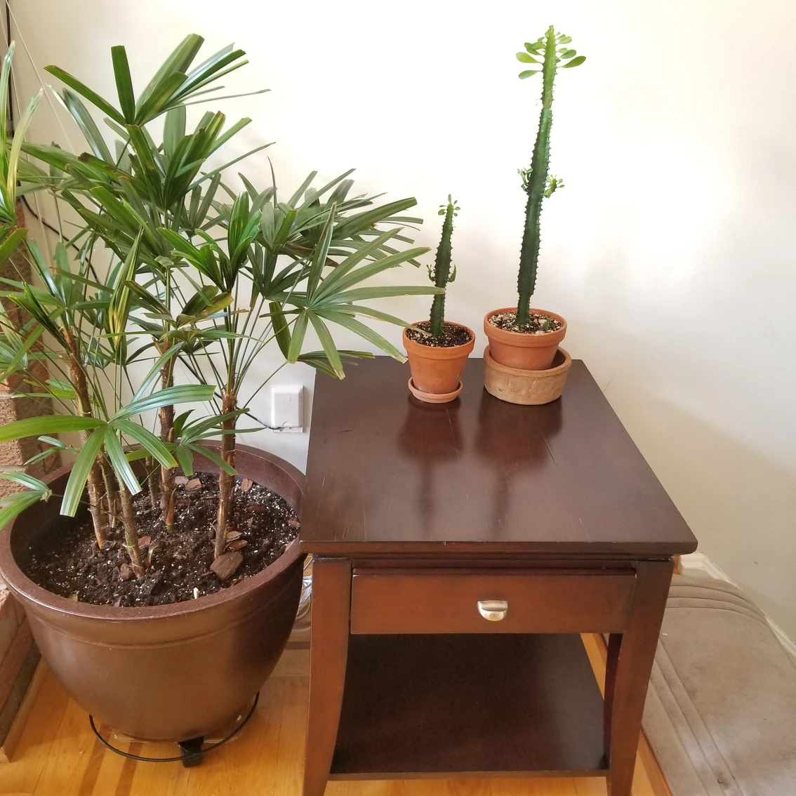 💚Side Table💚  #freecycle thumbnail