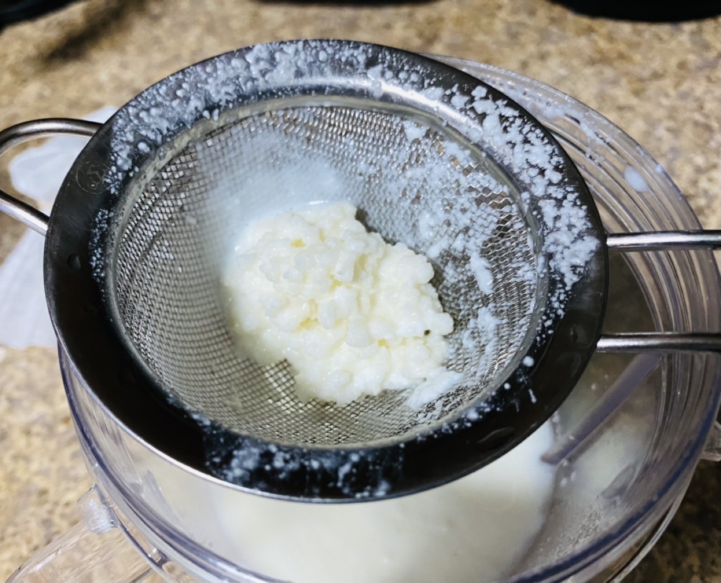 Organic milk kefir grains - photo 2