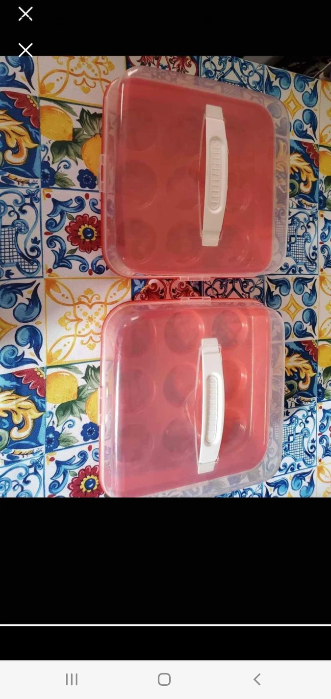 Cupcake carriers