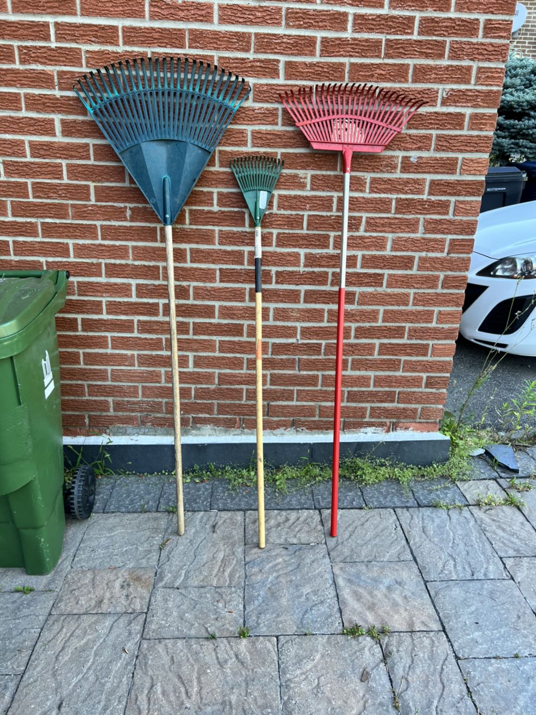 Take the Rake’s thumbnail