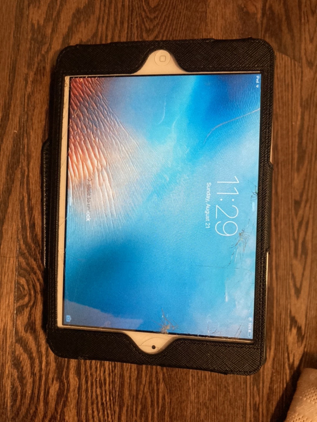 iPad mini 1 with Micheal Kors carrying case/stand image indicator(2)