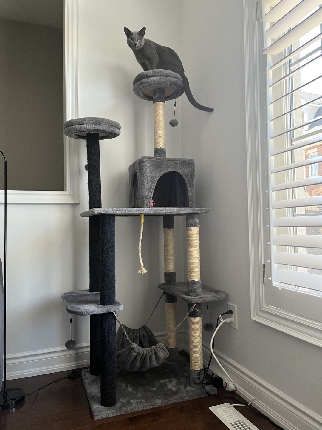Cat tree in good condition for sale
