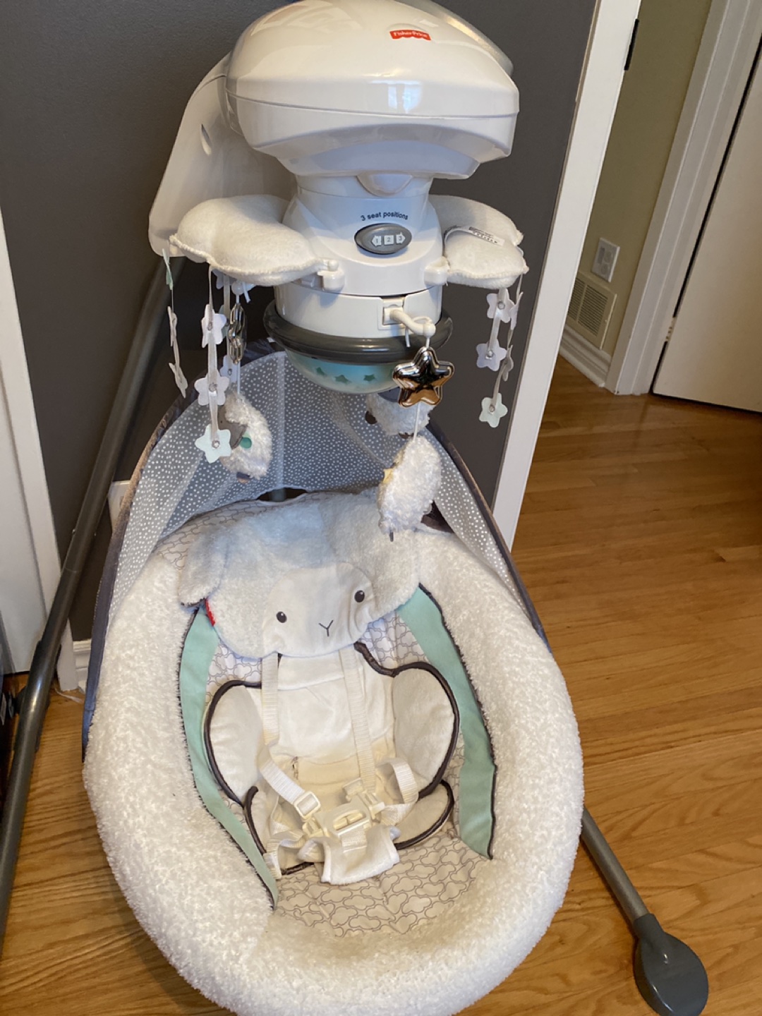 Fisher Price swing