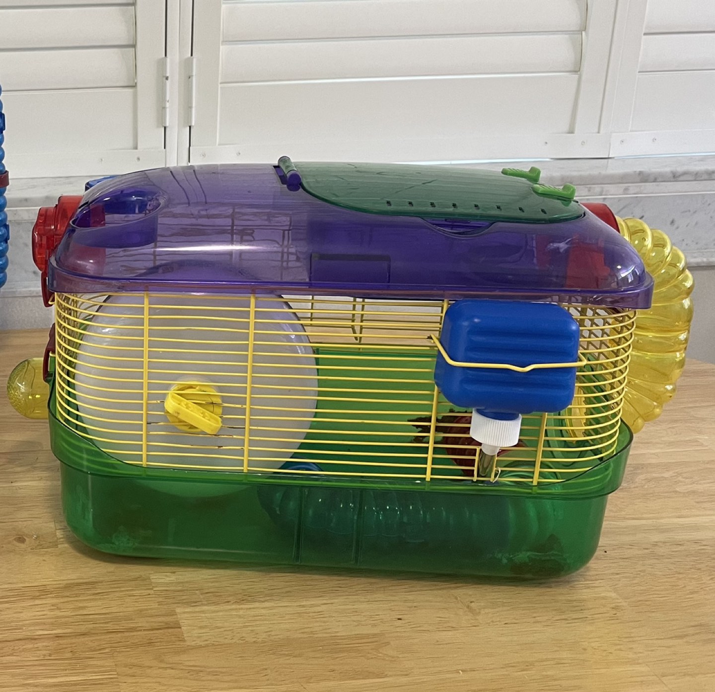Hamster cage thumbnail