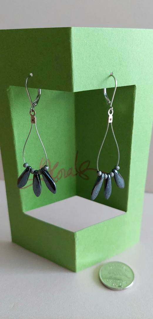 Earrings