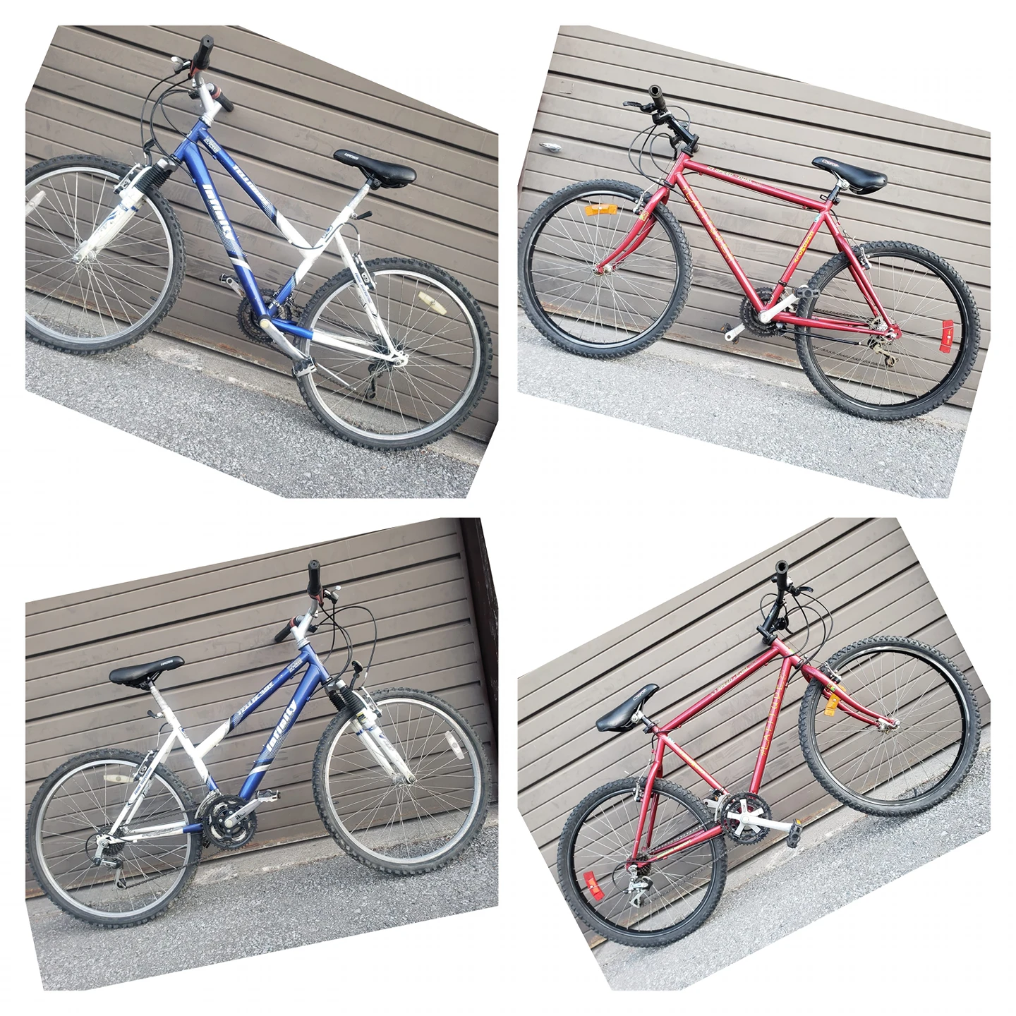 bike / bikes  / bicycle