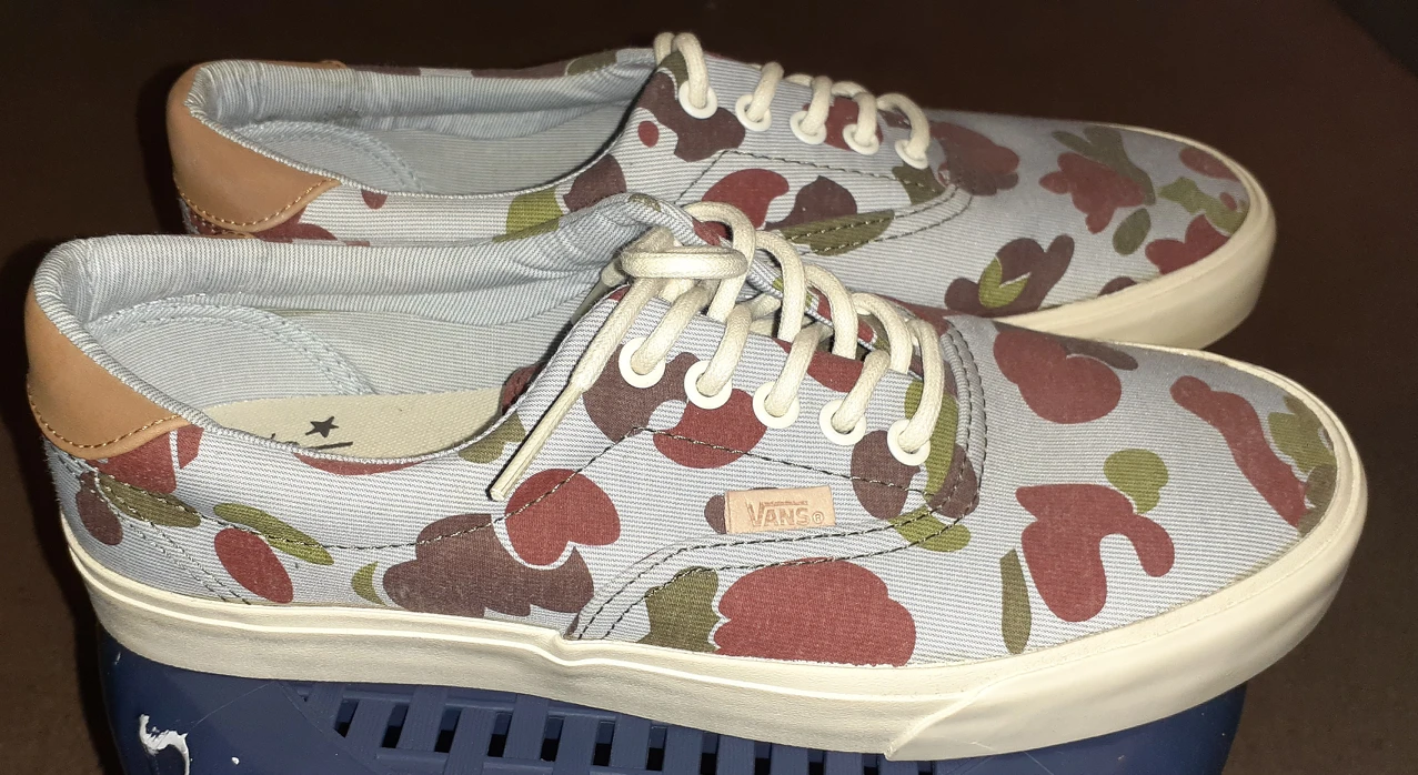 Vans mens shoes