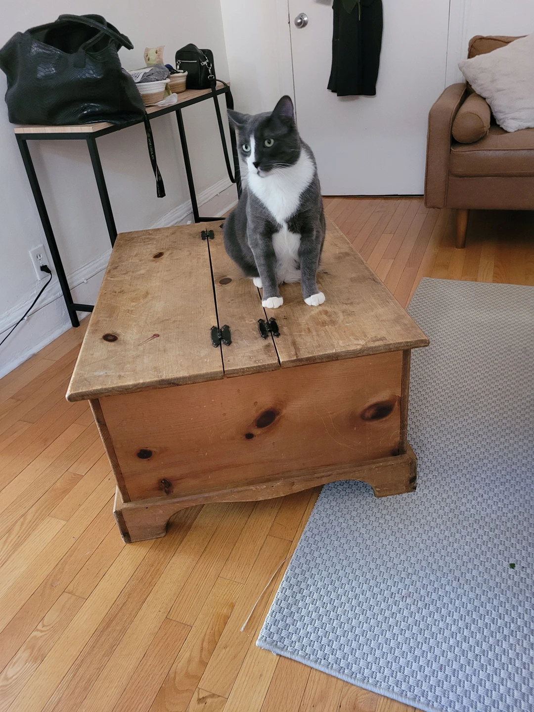 coffee table with storage - photo 2