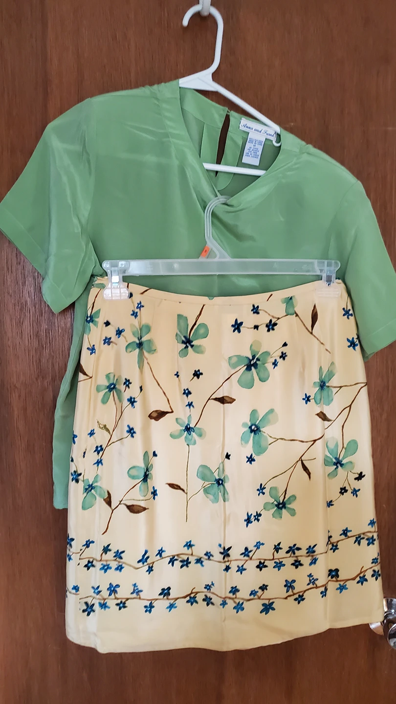 Ann Taylor Silk Skirt and silk  blouse image indicator(6)
