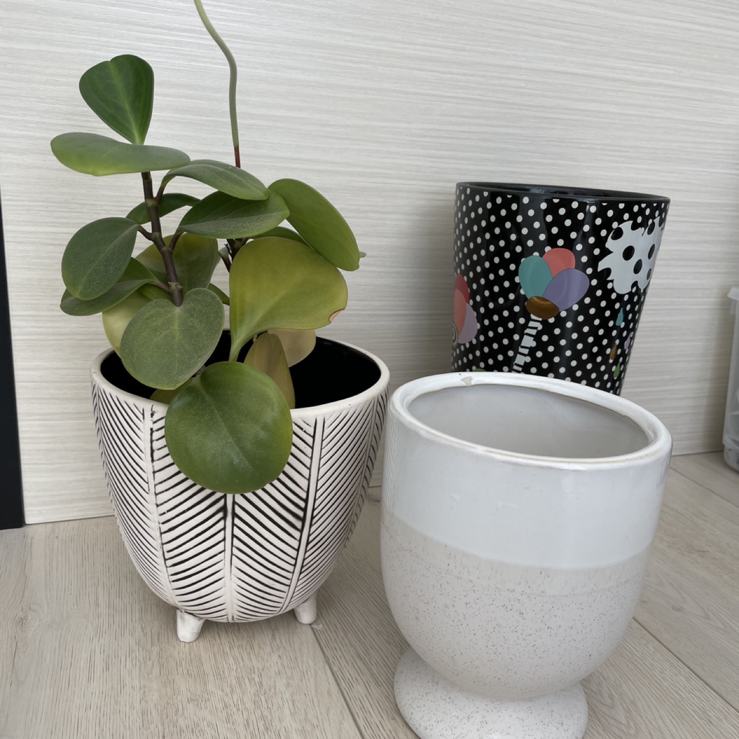 Pot for plants image indicator(4)