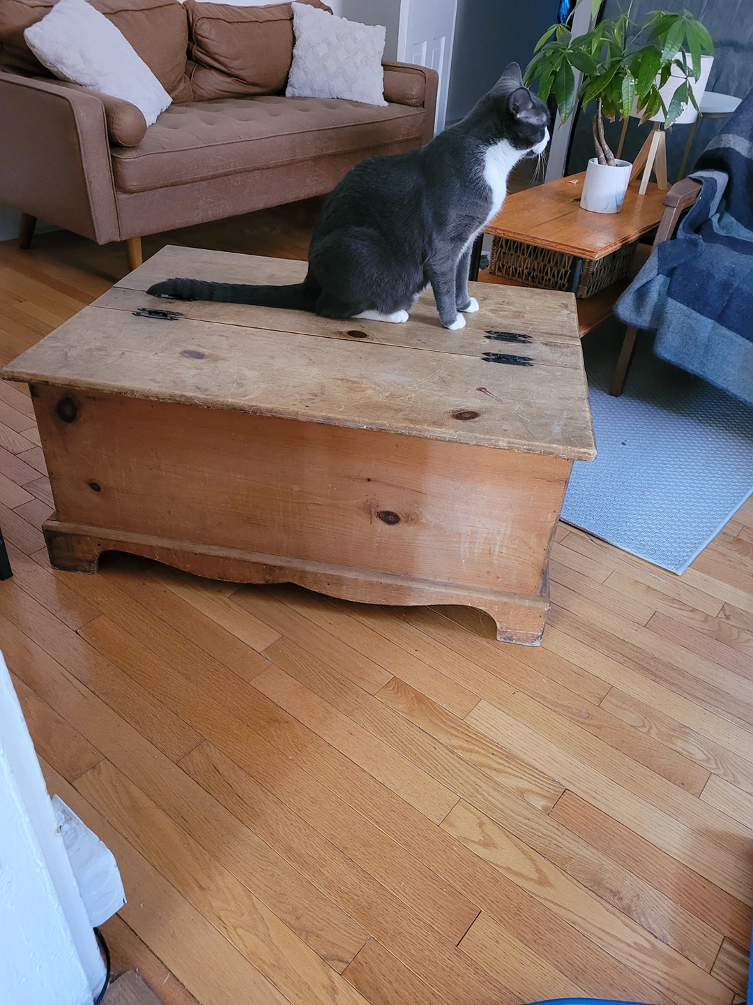 coffee table with storage - photo 5