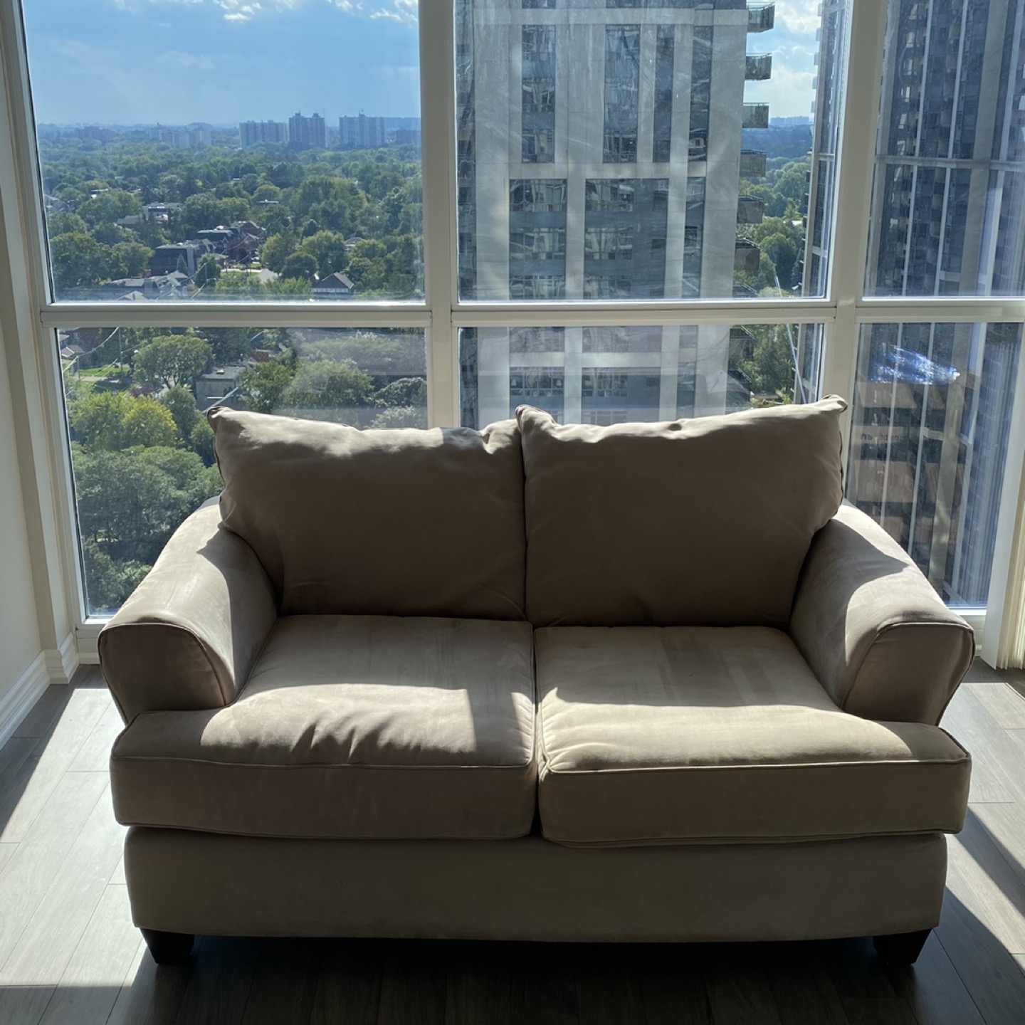 Couch/Sofa