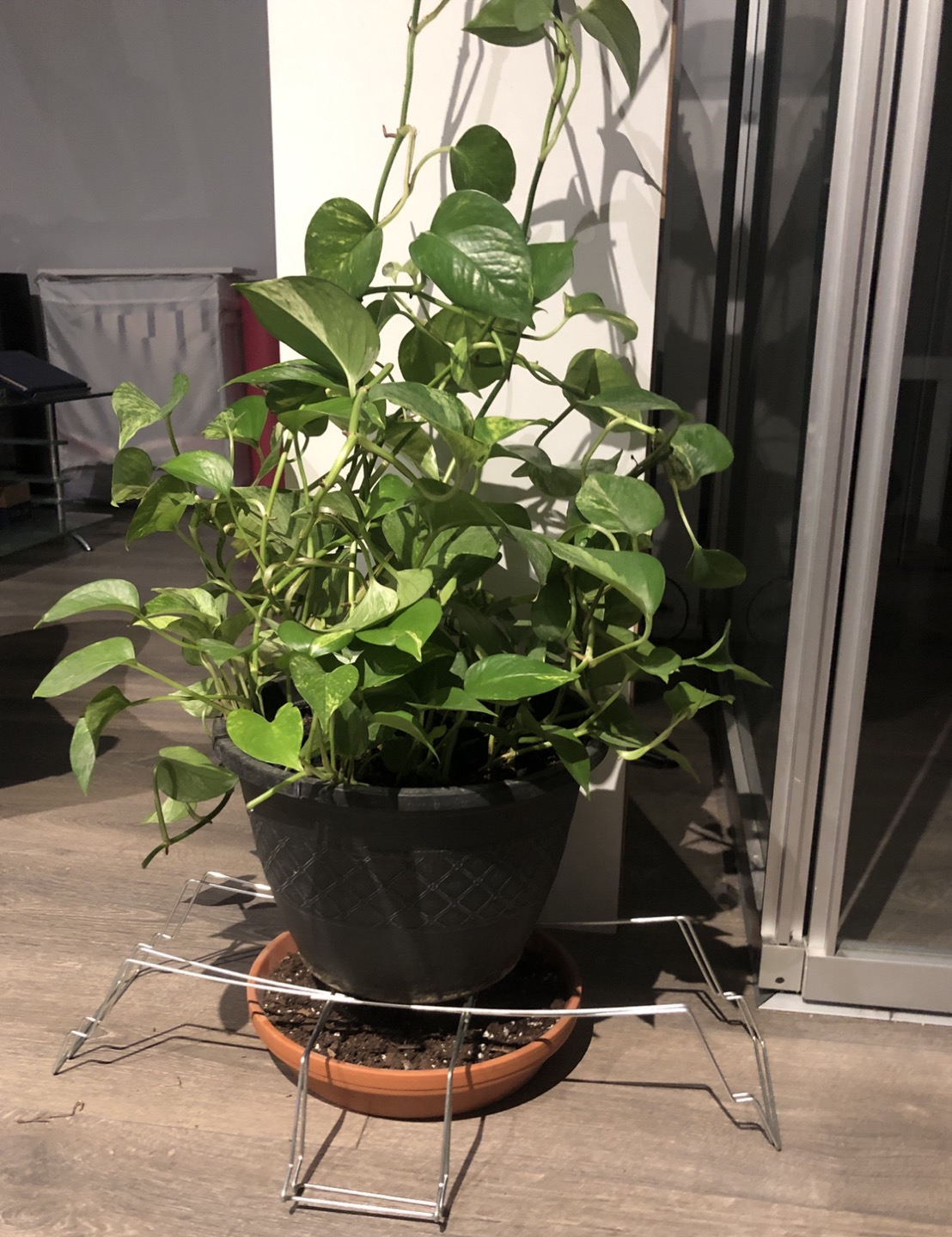 Plant image indicator(3)