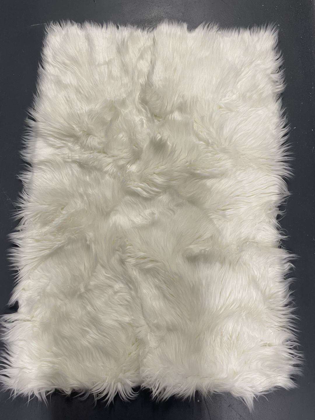Brand New Area Rug (29” * 42”)
