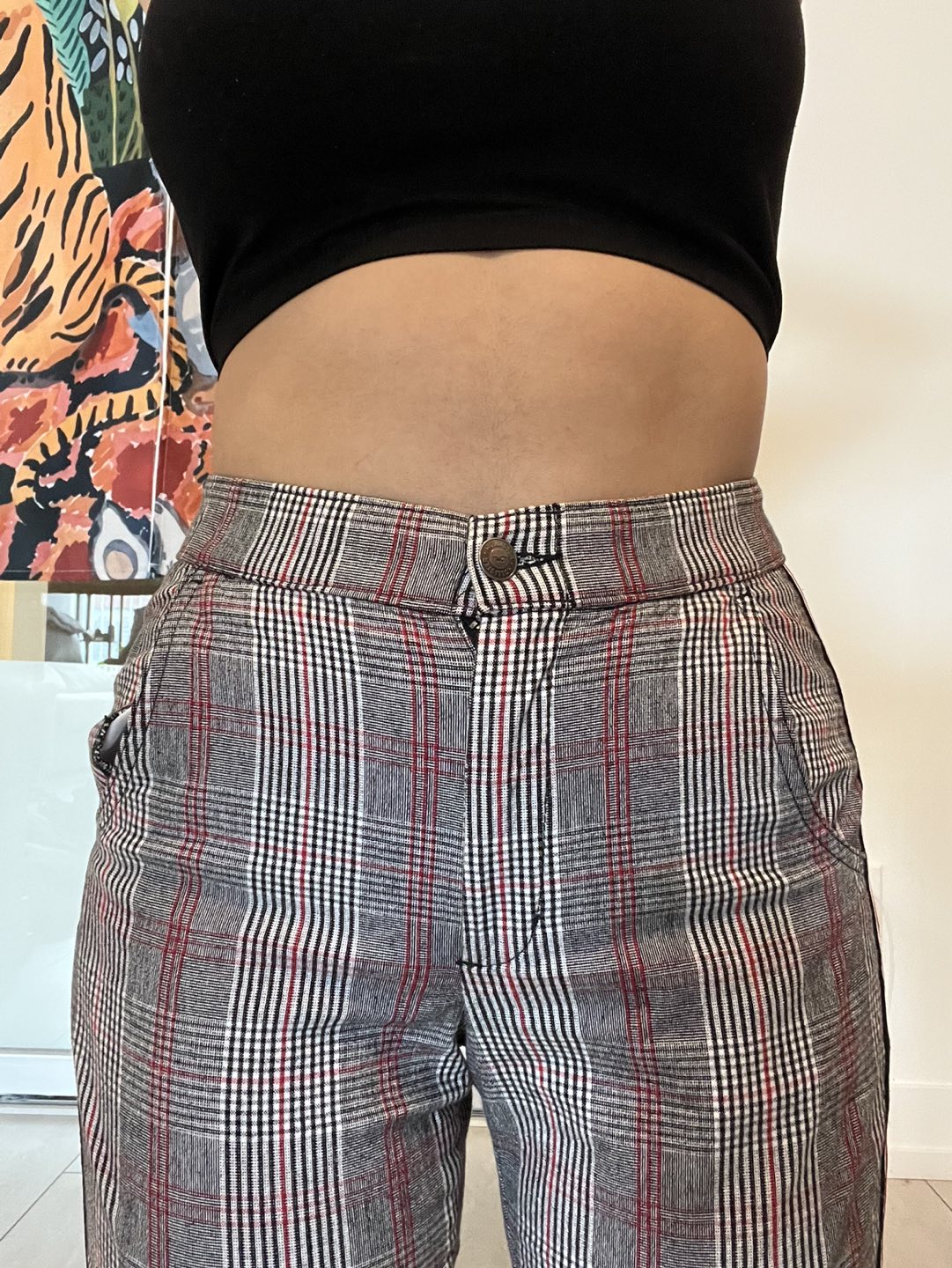 Plaid Pants from Texas Hollister - photo 4