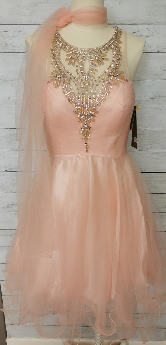 Champagne tulle Shor Prom/Grad/ Wedding guest dress.