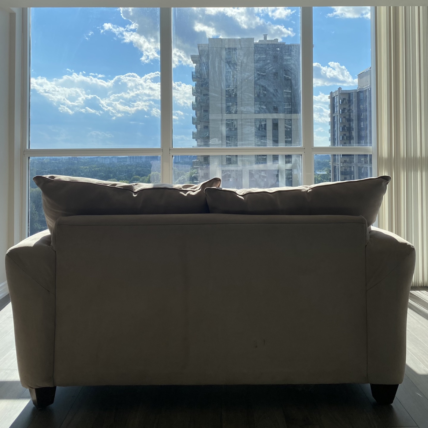 Couch/Sofa - photo 5