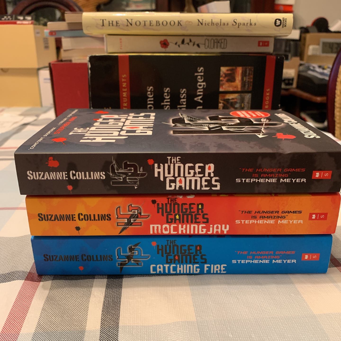 Hunger Games Series image indicator(2)