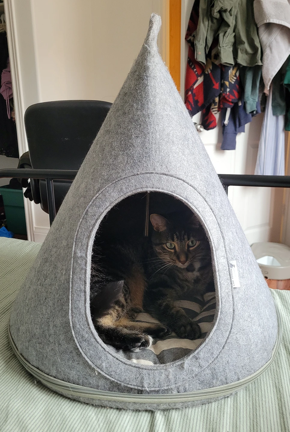 Cat Tent thumbnail