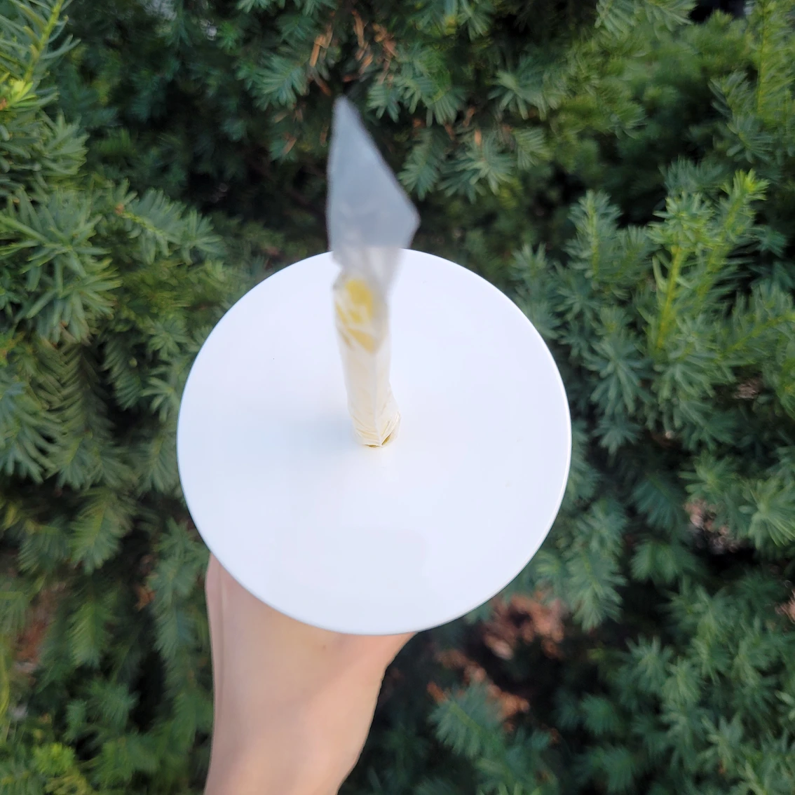 Kate Spade lemon tumbler cup image indicator(3)