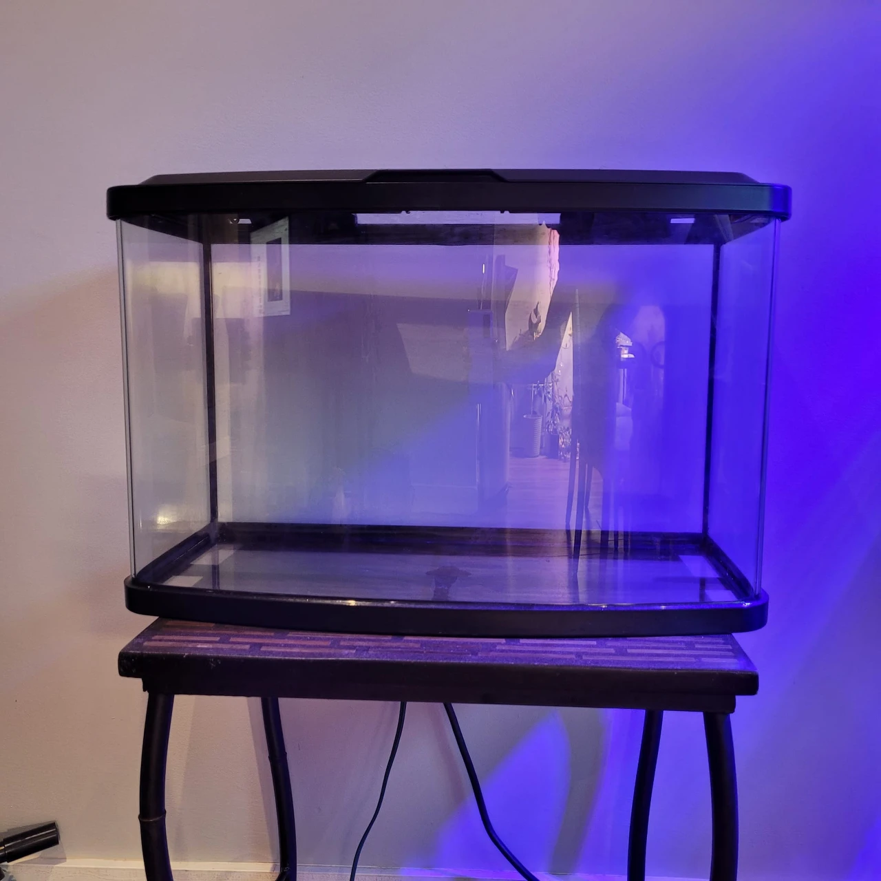 fish tank and filter
