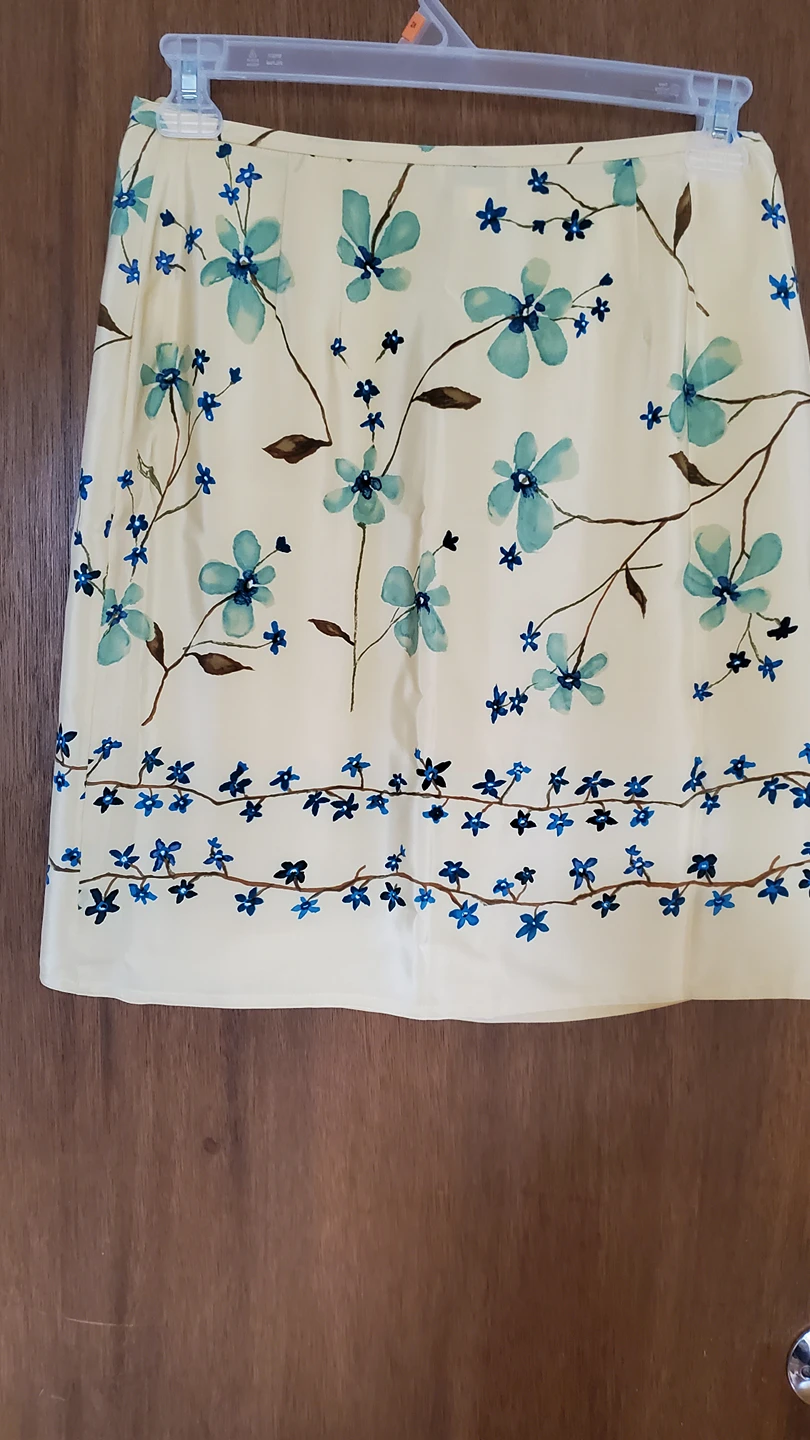 Ann Taylor Silk Skirt and silk  blouse image indicator(2)