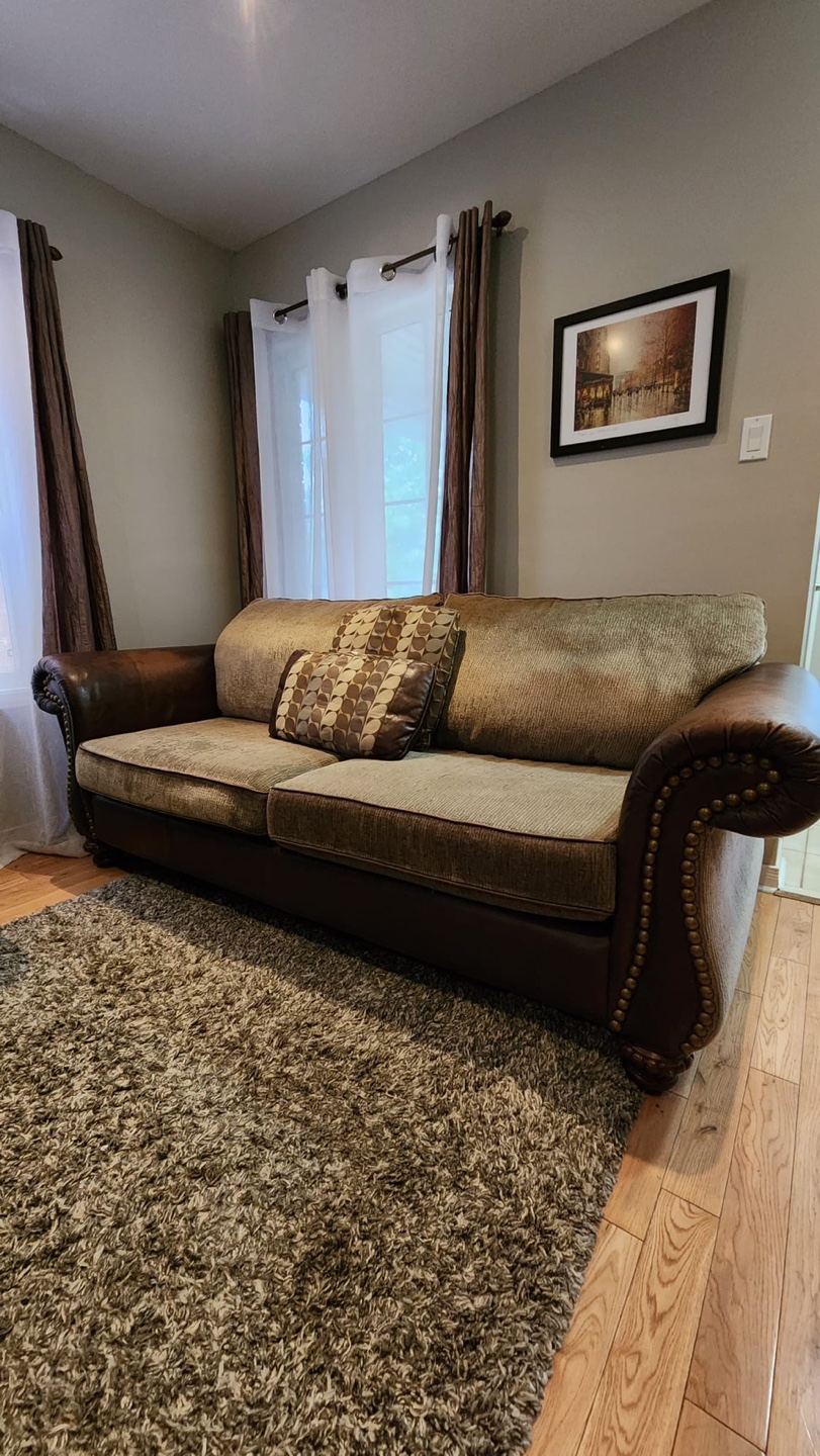 Two bsofas