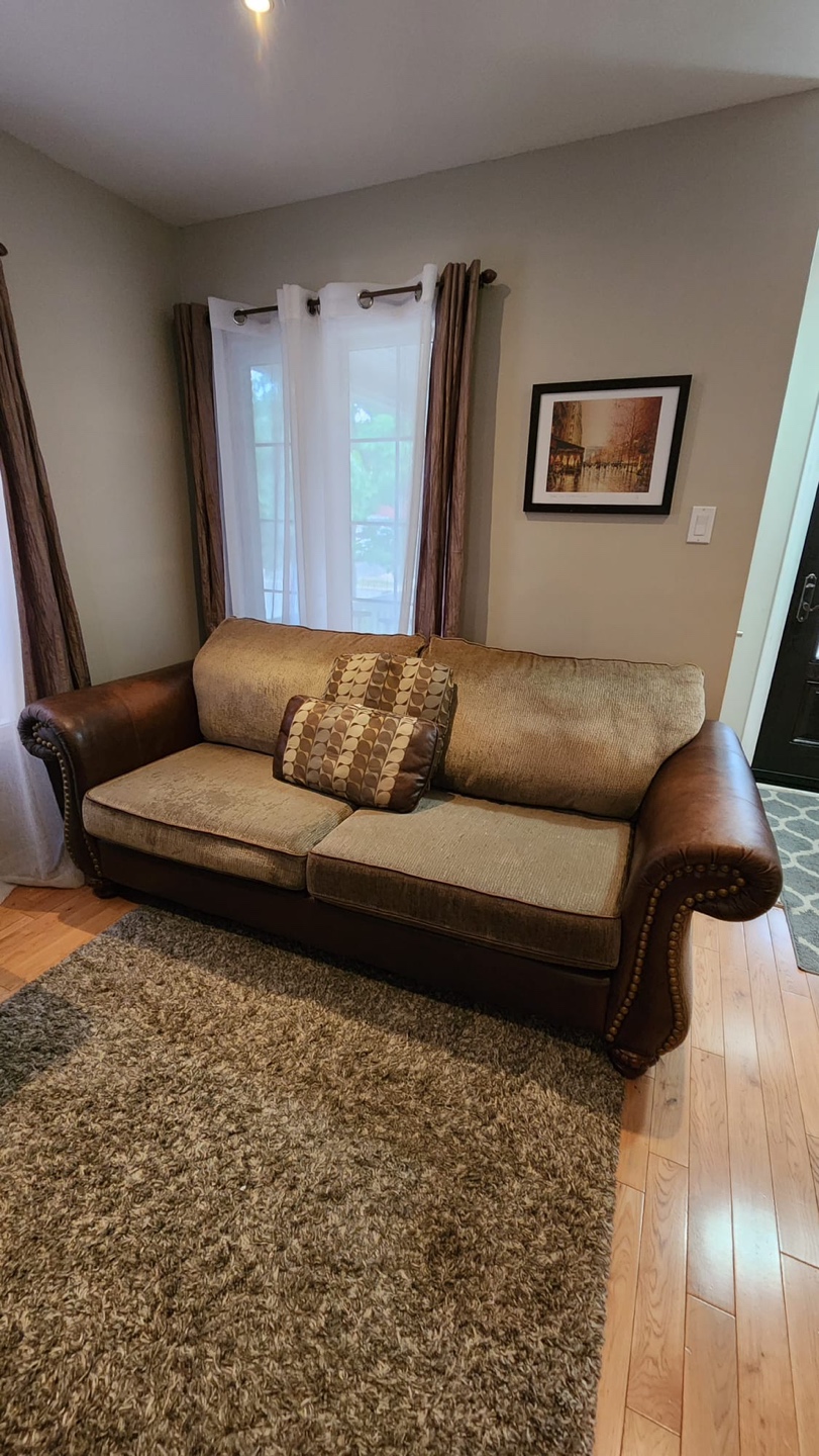 Two bsofas - photo 3