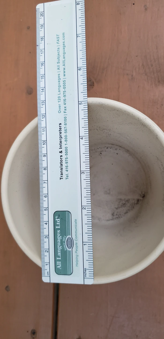 good quality plant pot (light cream) image indicator(3)