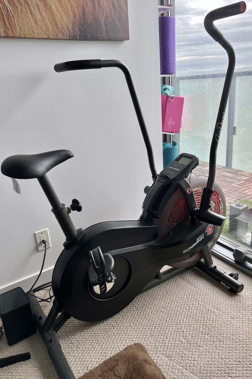 Schwinn AD2 Airdyne exercise fan bike thumbnail