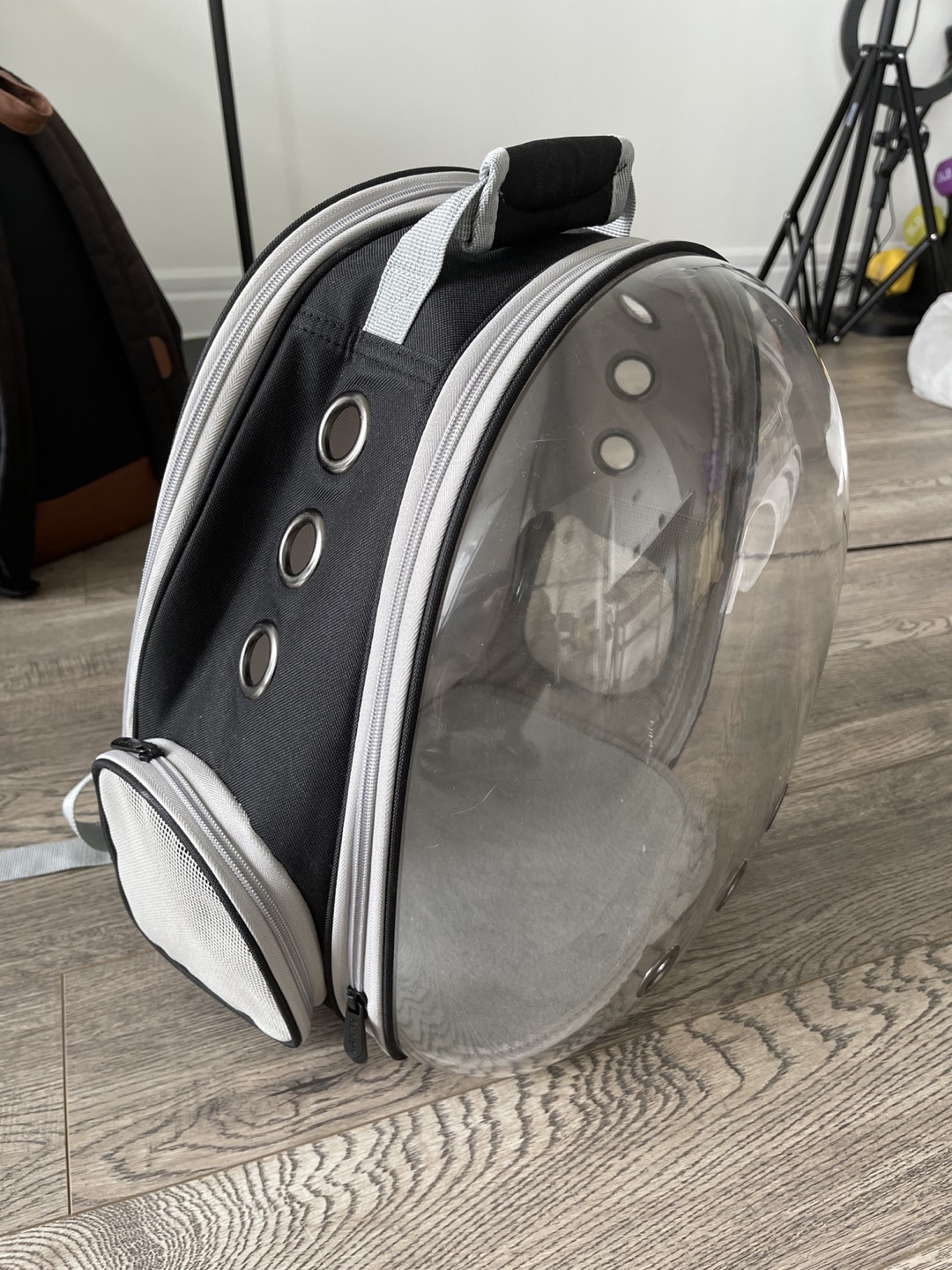 Cat and dog backpack thumbnail